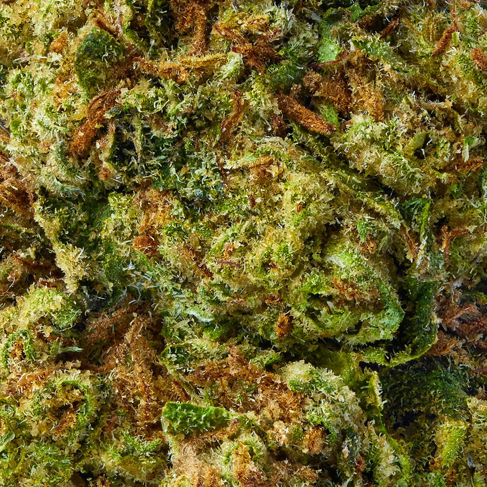 Sativa • Pure Diesel (Oz Deals)