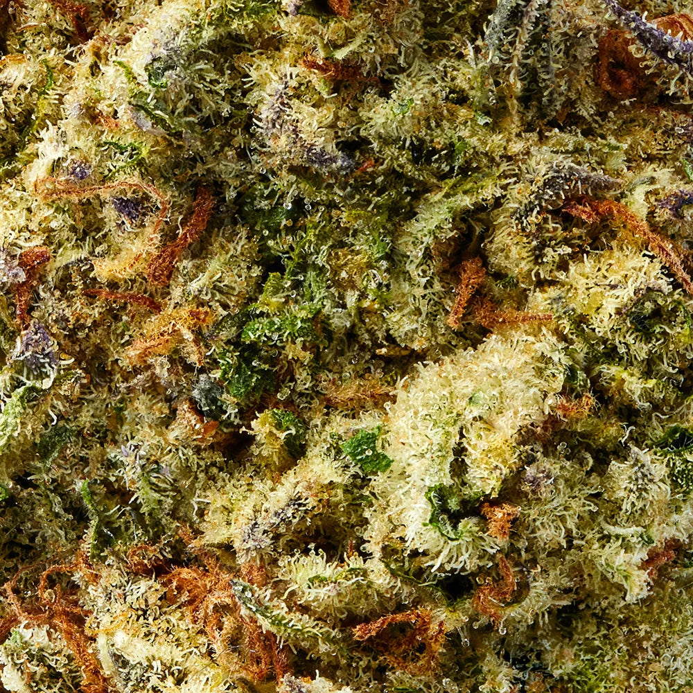 Hybrid • Mac 1 (Premium Oz)