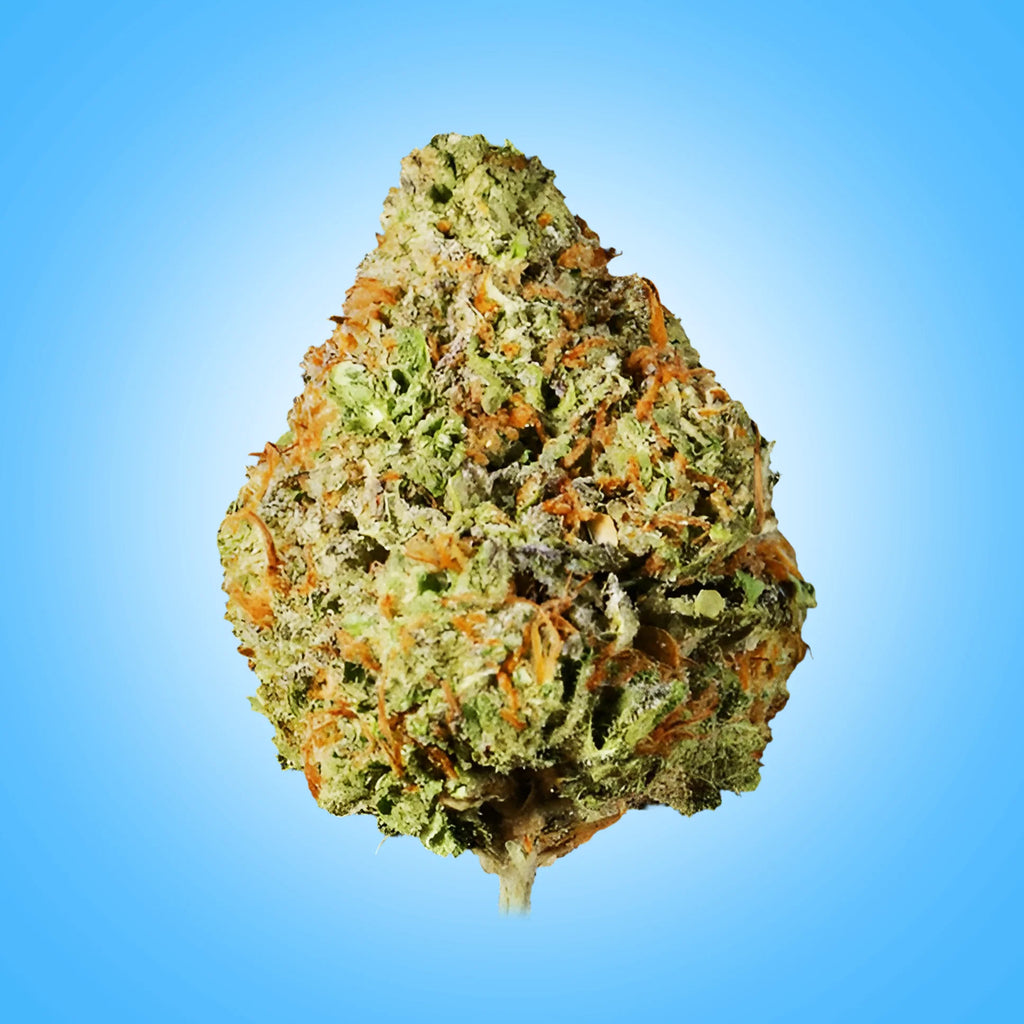 Hybrid • Pineapple Express (Premium Oz)