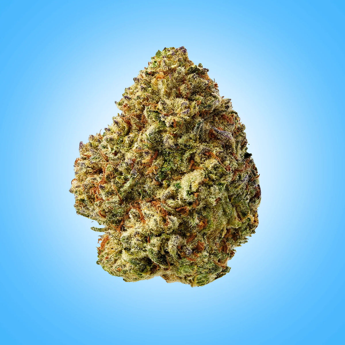 Hybrid • Mac 1 (Premium Oz)