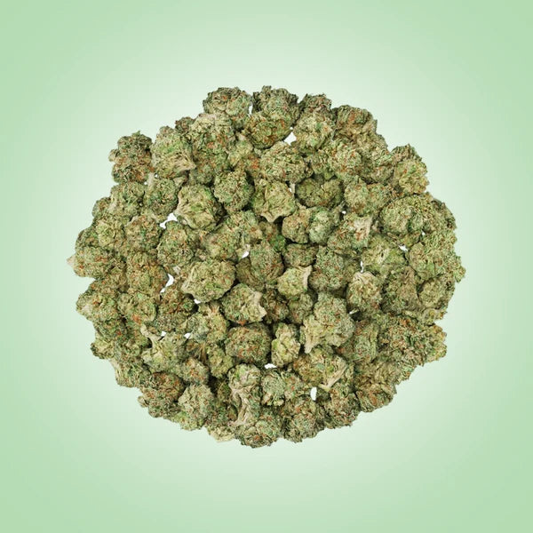 Sativa • RS-11 (Smalls)